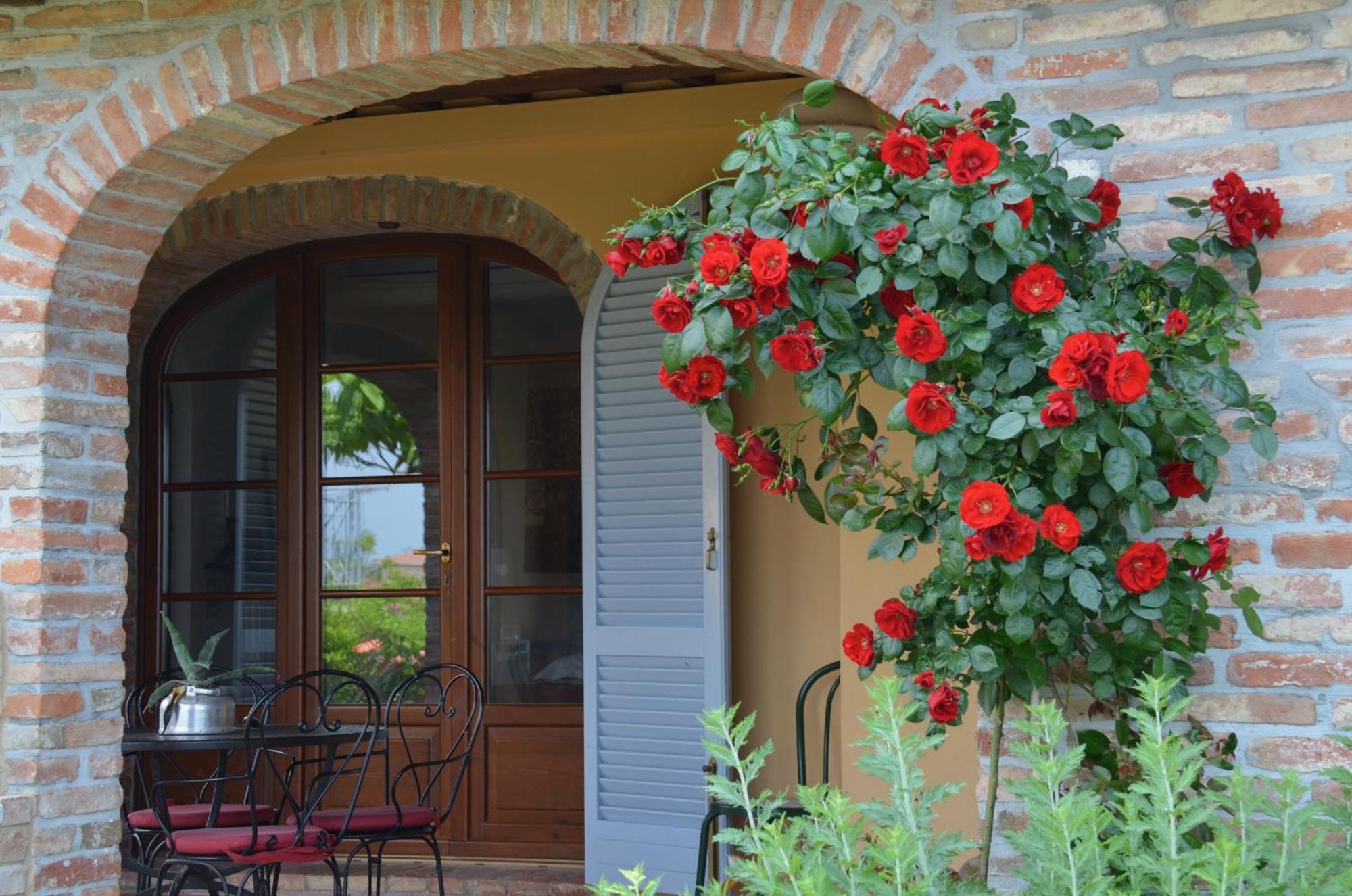 Apartmán Casa Magnolia Terricciola Exteriér fotografie