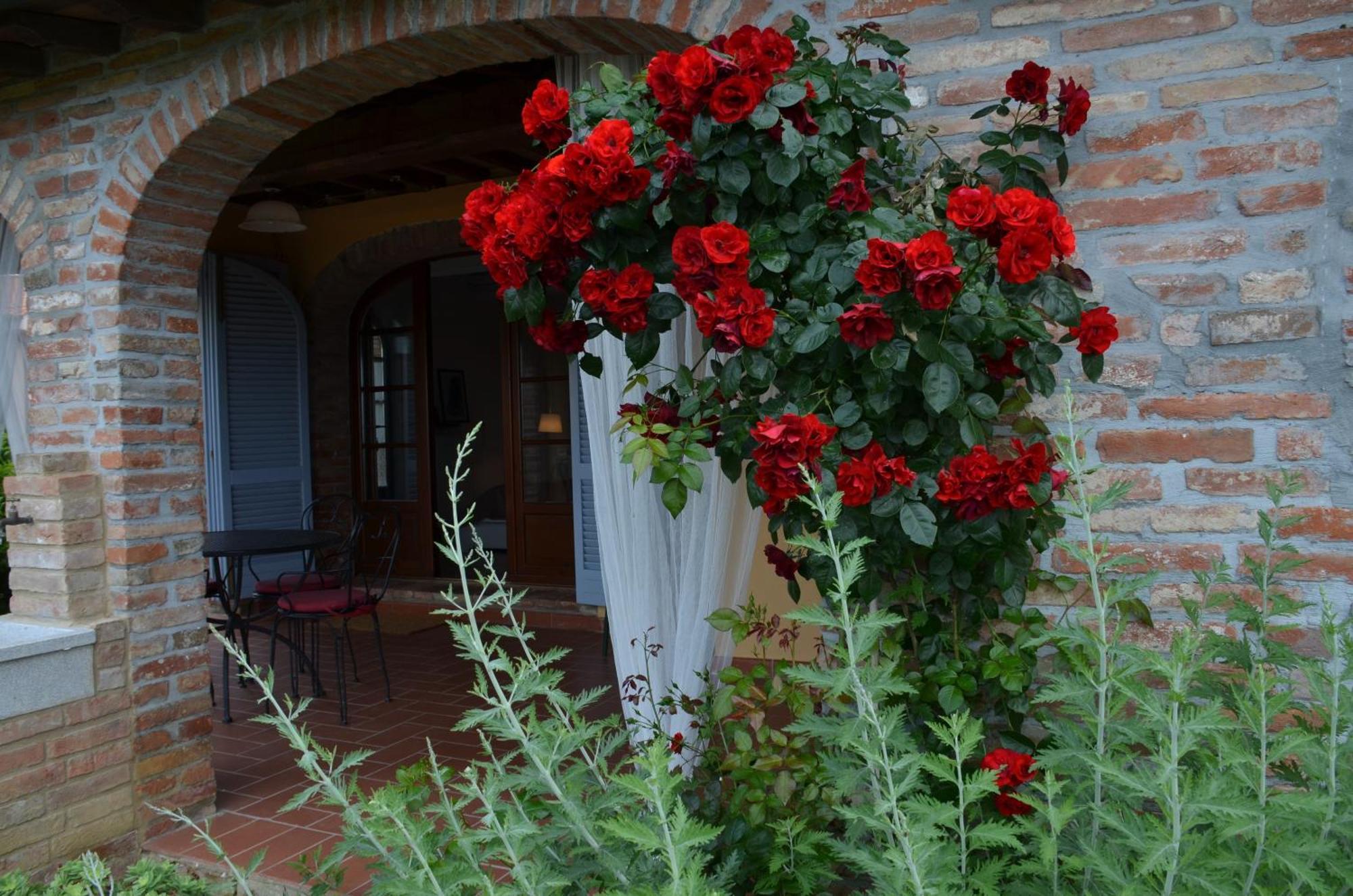 Apartmán Casa Magnolia Terricciola Exteriér fotografie