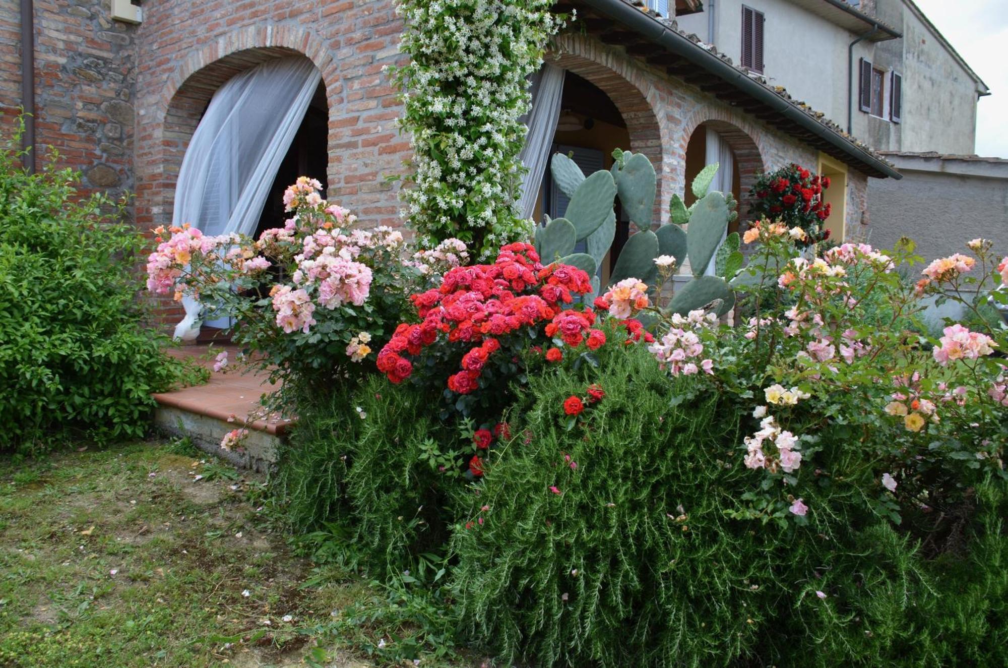 Apartmán Casa Magnolia Terricciola Exteriér fotografie